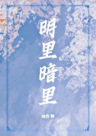 明里暗里的近义词